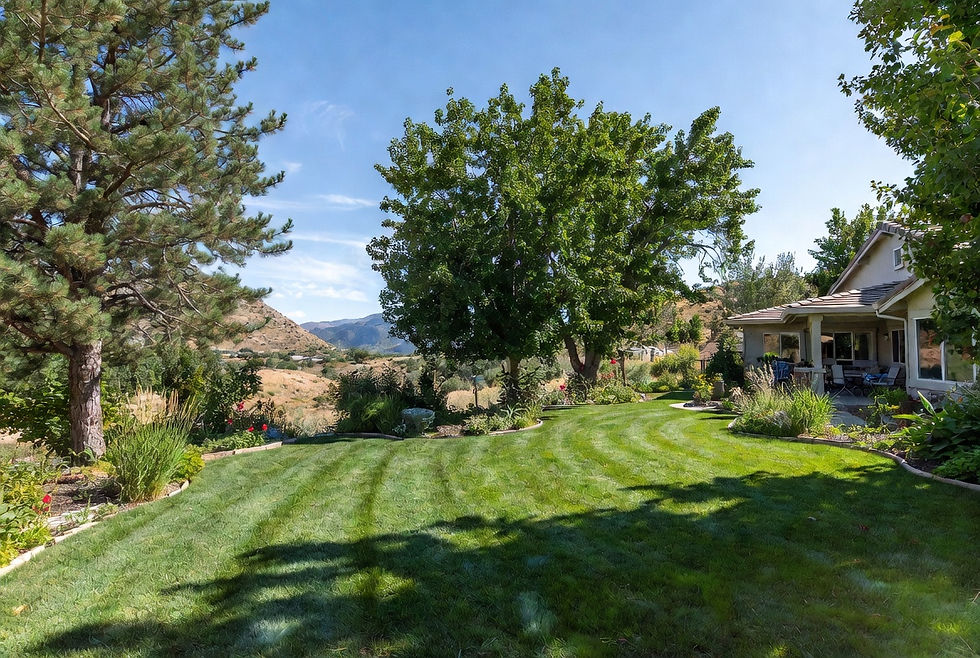 Utah’s Water Cycle Is Broken — Here’s How Overgrown Forests and Missing Lawns Are Making It Worse (And How We Fix It)