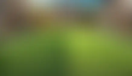 Artificial Turf Is Detrimental to the Environment