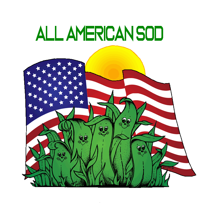 All American Sod Logo