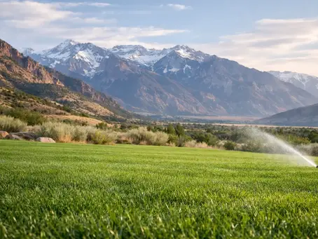 Is Kentucky Bluegrass Right for Utah's Climate?