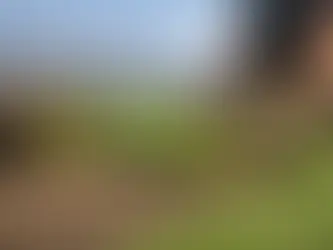 When to Lay Sod in Utah for Fast Rooting