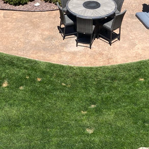 My Grass is dying in spots!!