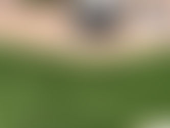 My Grass is dying in spots!!