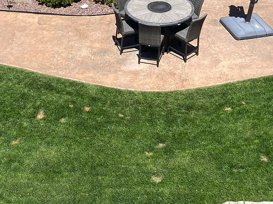 My Grass is dying in spots!!