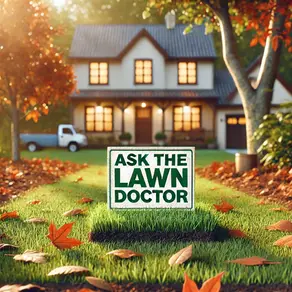 When is the Latest to Plant Grass Seed in Utah