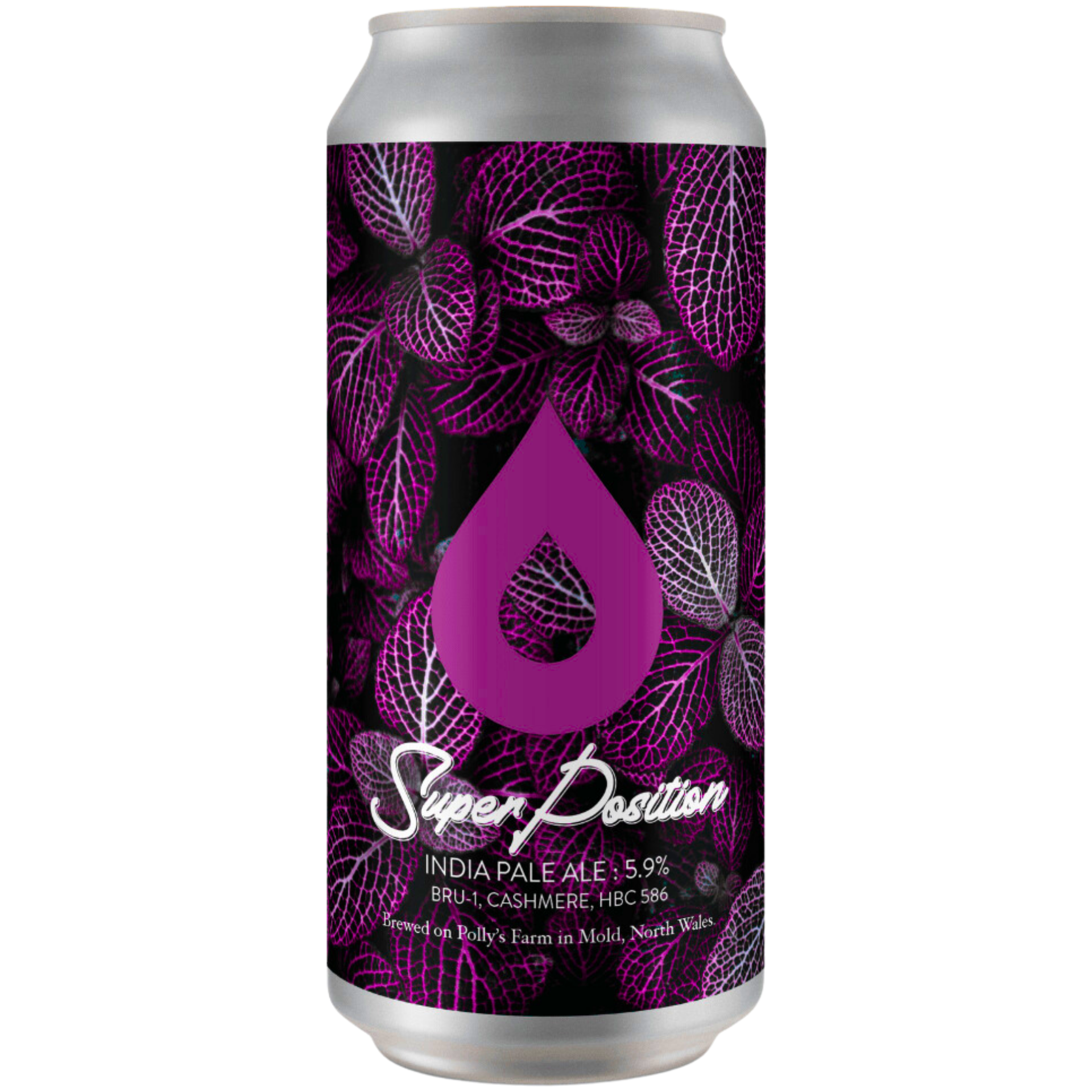 Polly's Brew Co - Super Position 