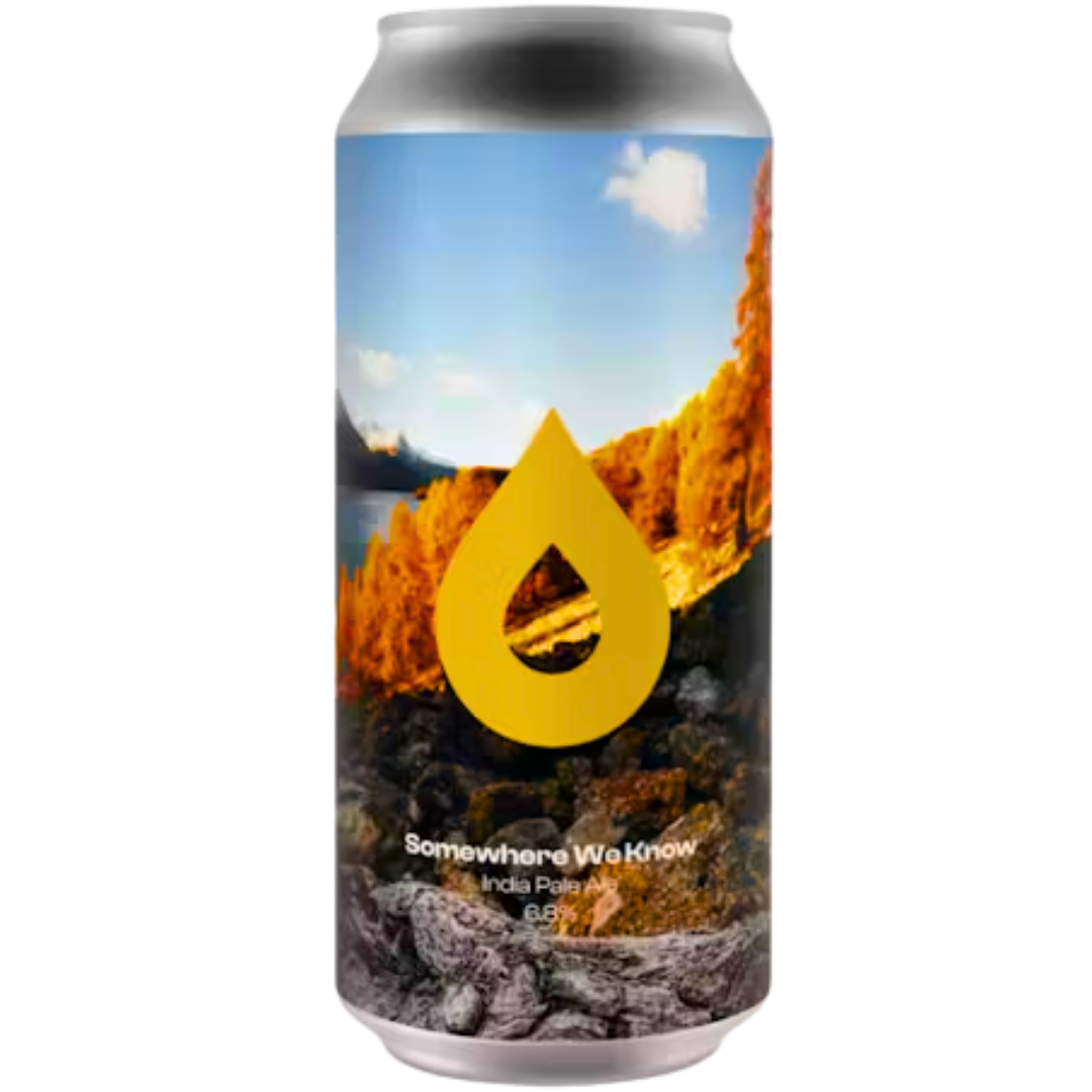 Polly's Brew Co -Somewhere We Know