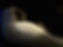 IMG_5961.jpeg