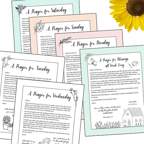 How to pray with starter prayer booklet