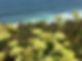 Portugal Coast Nature