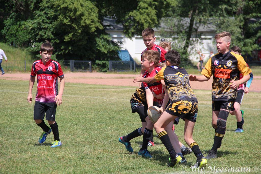 Nachwuchs U 14 Rugby Potsdam