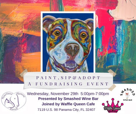 Paint, Sip & Adopt