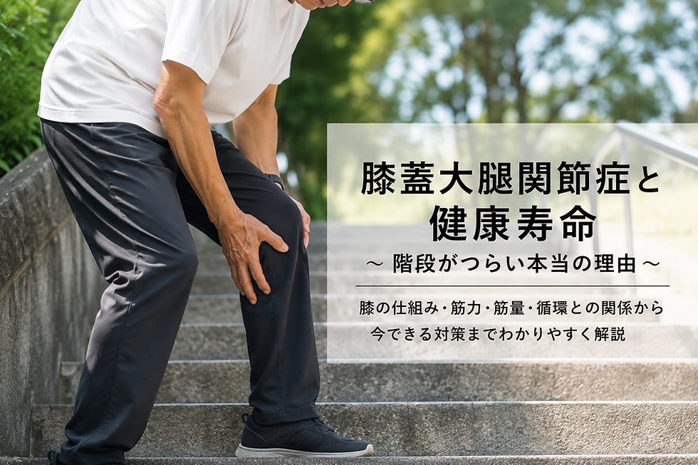 膝蓋大腿関節症と健康寿命