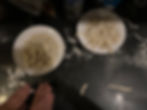 piatti di pasta fatti in case