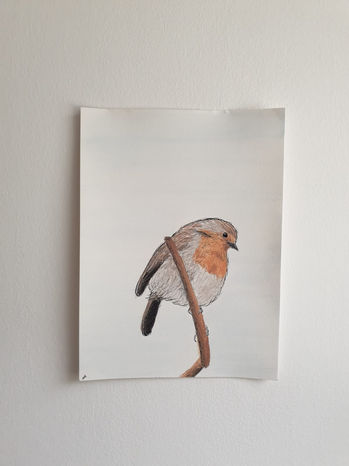 אדום חזה צבעי מים.jpeg