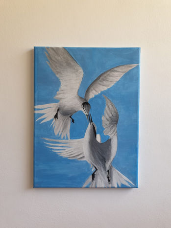 ציפורי שקט.jpeg