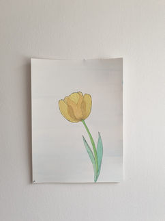 טוליפ צבעי מים.jpeg