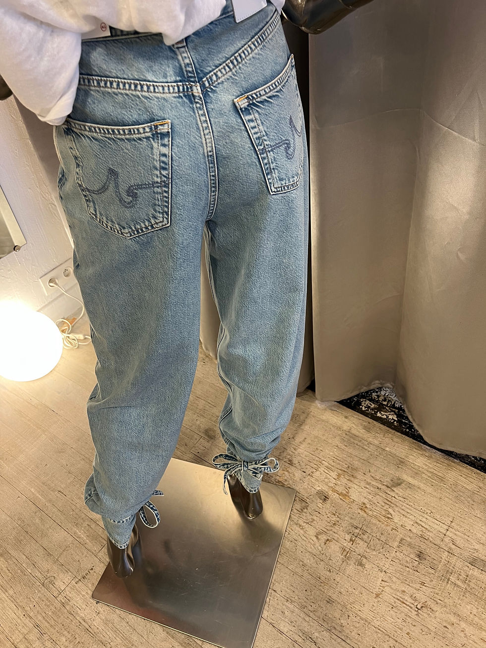 Miniature : Jean AKITA A.Gjeans