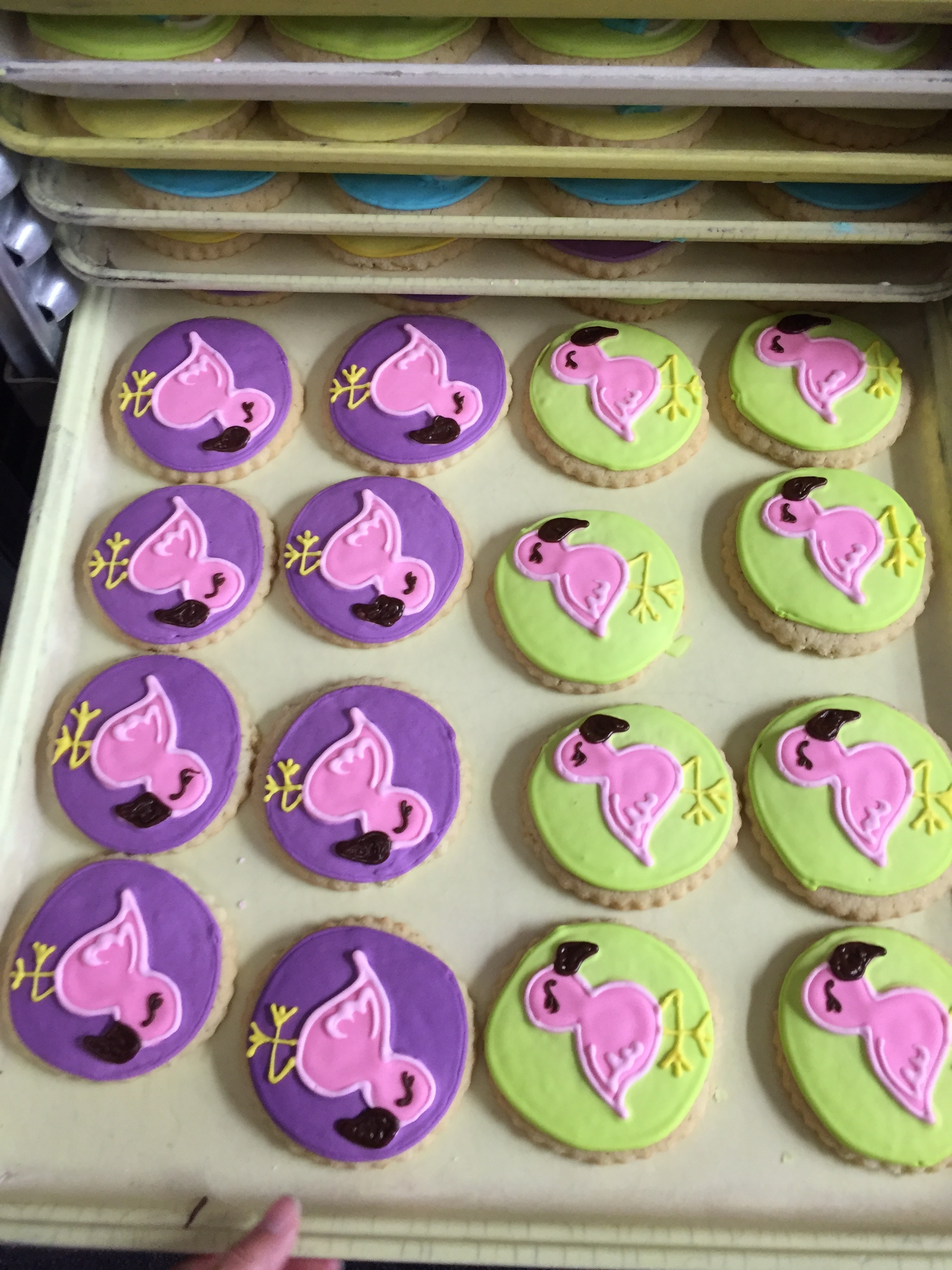 Decorated Cookies Westhampton Pastry Shop Richmond Virginia