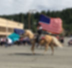 pioneer days.jpeg