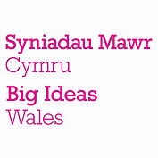 Big Ideas Wales.jpeg