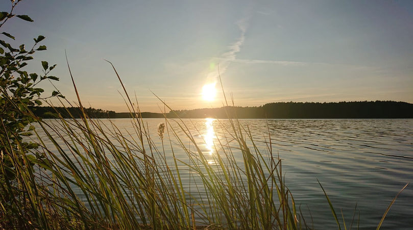 WhatsApp Image 2022-02-13 at 17.20.52.jpeg