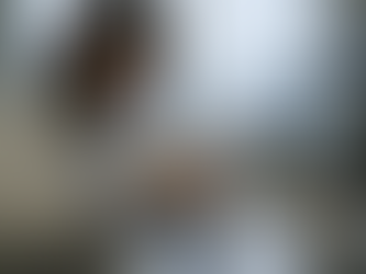 Peptide Labeling Standards Explained: Ensuring Purity and Accuracy