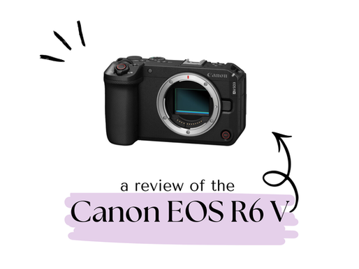 canon eos r6 v