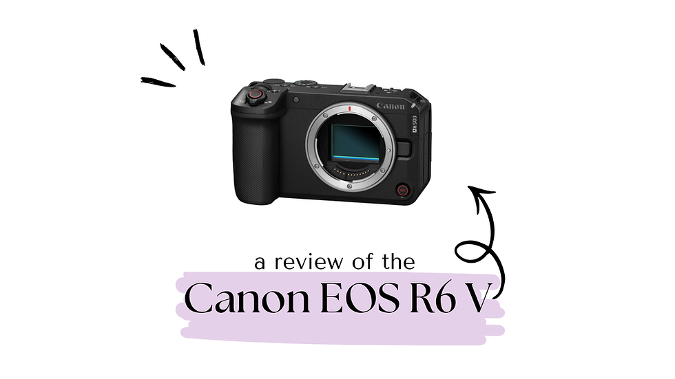 canon eos r6 v