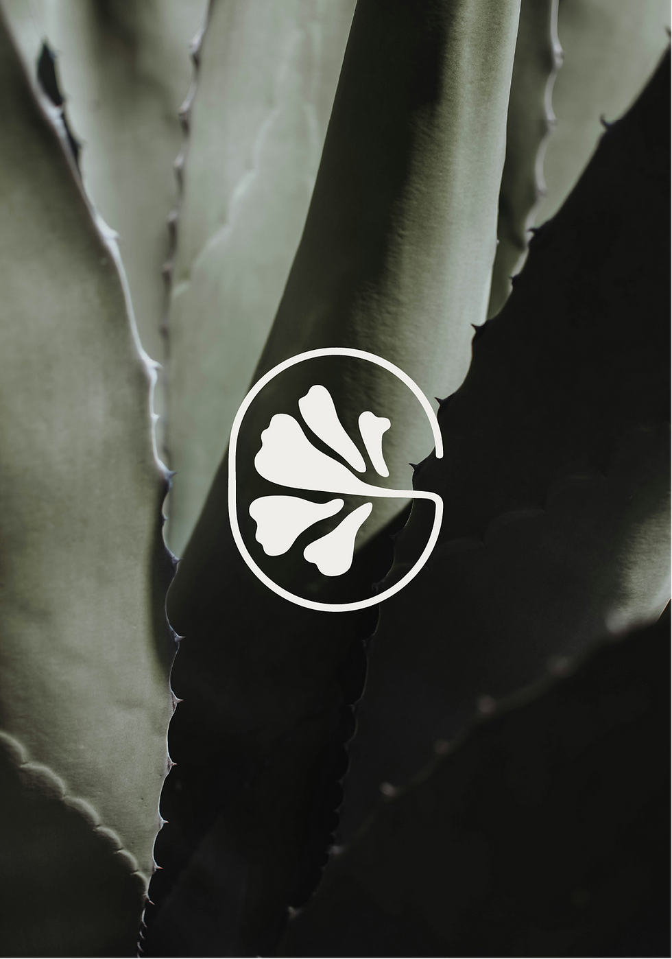 web photos-15.png