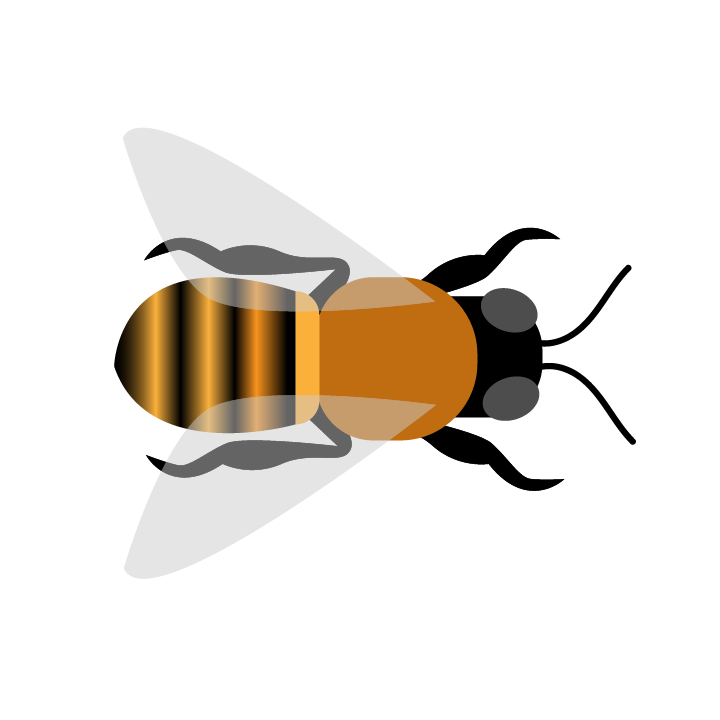 Bee.png