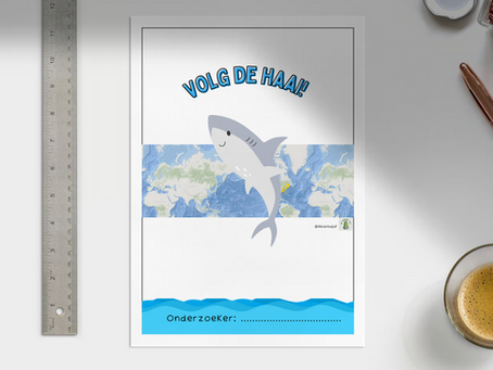 Meerbegaafdenproject - extra uitdaging - plusklas