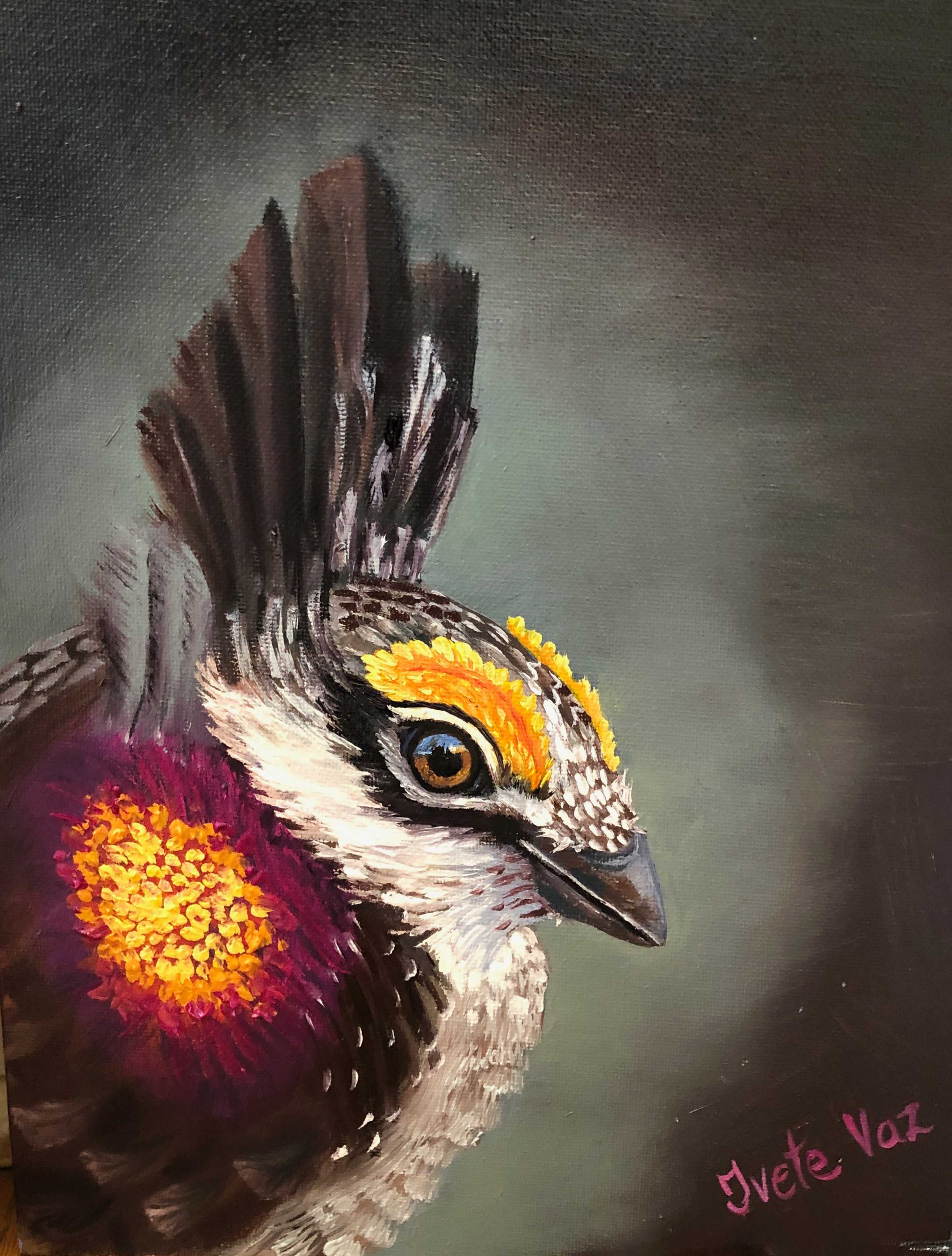 Prairie Chicken Portrait