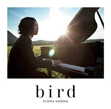 「bird/夕焼け高速道路」