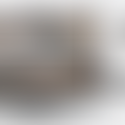 Site web pour une entreprise de rénovation