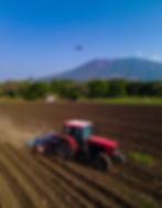 Firefly_A realistic high-resolution photograph of a rural agricultural scene in Africa, sh