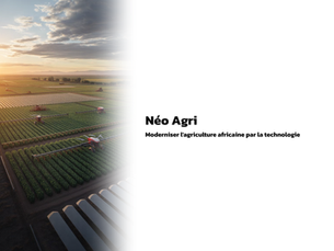 Audit Stratégique pour le projet Néo Agri (Bénin)