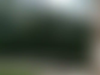20 Biswa Plot for Sale Near Mahasu House in Mashobra Shimla Located 7 Km from City