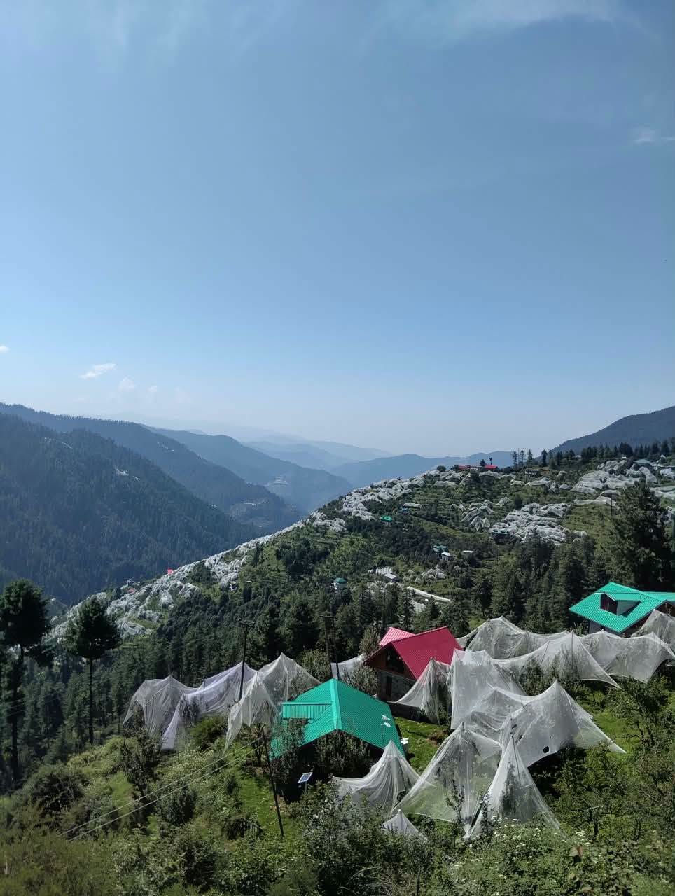 30 Biswa Plot for Sale in Narkanda Shimla Ideal for Home Stay and Investment