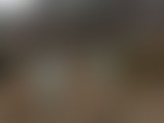 10 Bigha Land for Sale Near Shalota Shimla with Scenic Hill Views