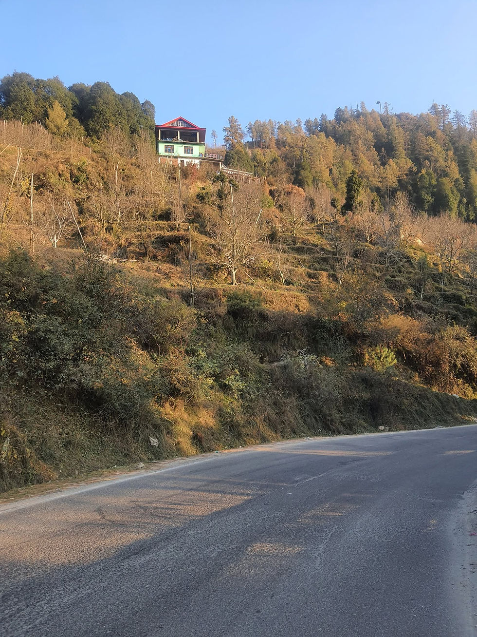Prime 20 Biswa Plot for Sale Near Elbrus Hotel Lafughati Between Shimla and Narkanda
