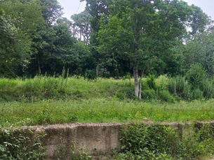 34 Biswa Plot for Sale in Kunihar Solan Just 20 km from Shimla Airport
