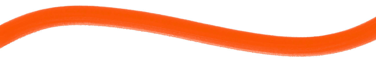 orange clothemod branding 