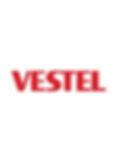 dikey-ritmus-referans-logo-vestel