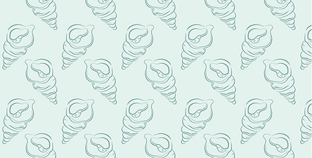 shell patterns 11.png