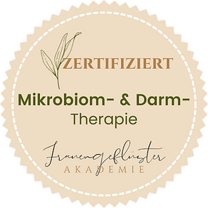 MDT Therapie.png