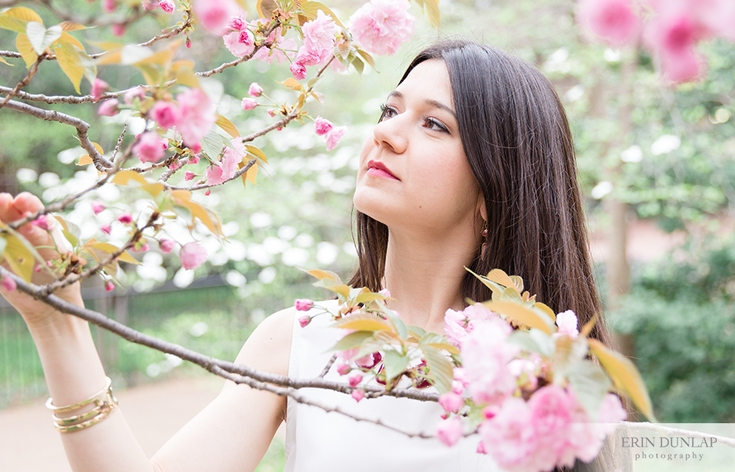 Zarina : A Beautiful Afternoon in Nashville, Tennessee