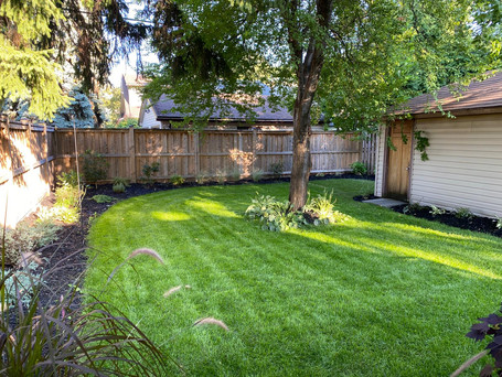 Balmoral Backyard