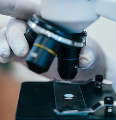 Experimental Setup.jpg