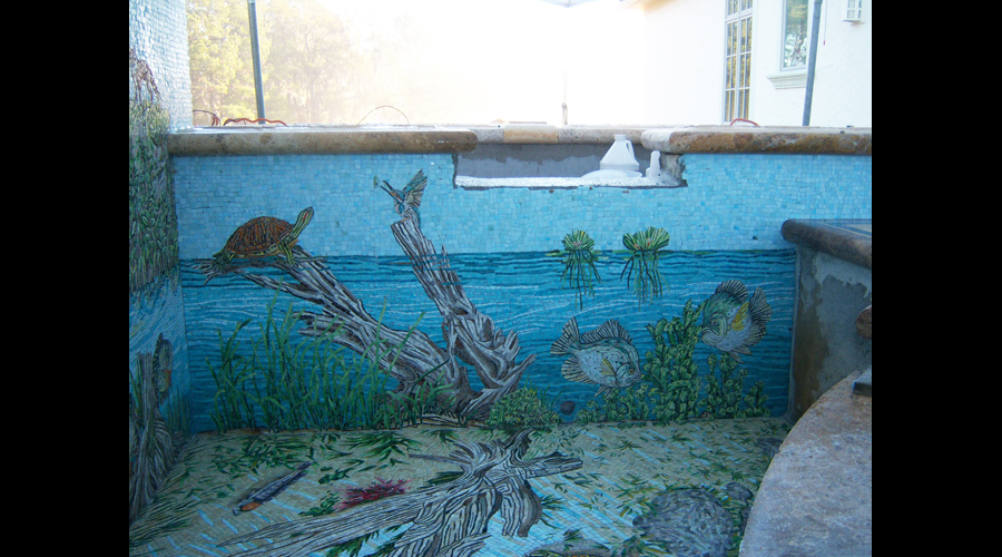 Swimming Pool Installation